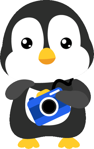 Photographer Penguin